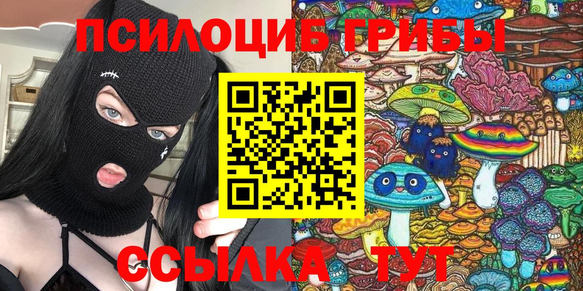 Галлюциногенные грибы Psilocybe Набережные Челны