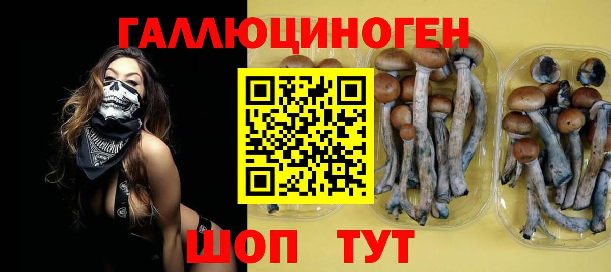 Псилоцибиновые грибы ЛСД  Вход с VPN  Набережные Челны  Псилоцибиновые грибы Psilocybine cubensis 